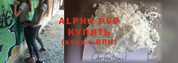 тгк Алексин