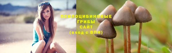 дмт Алексеевка