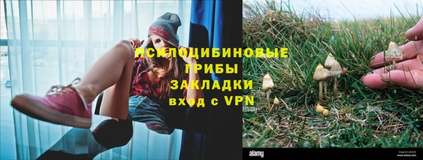 дмт Алексеевка