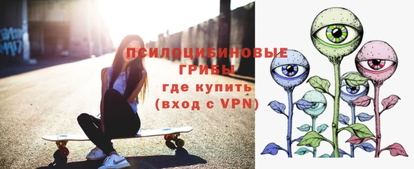 тгк Алексин